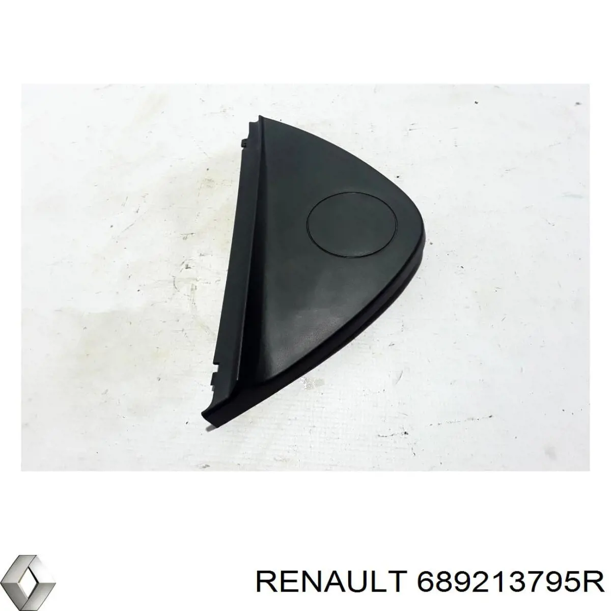 Купити 689213795R Renault (RVI) 