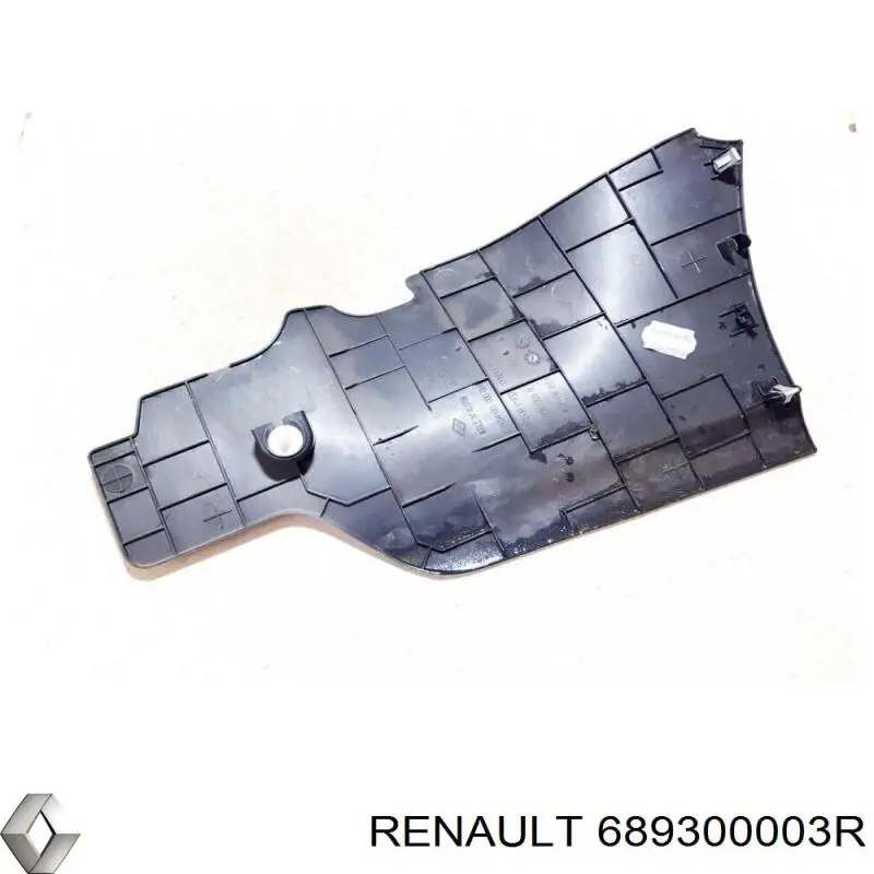 689300003R Renault (RVI) 