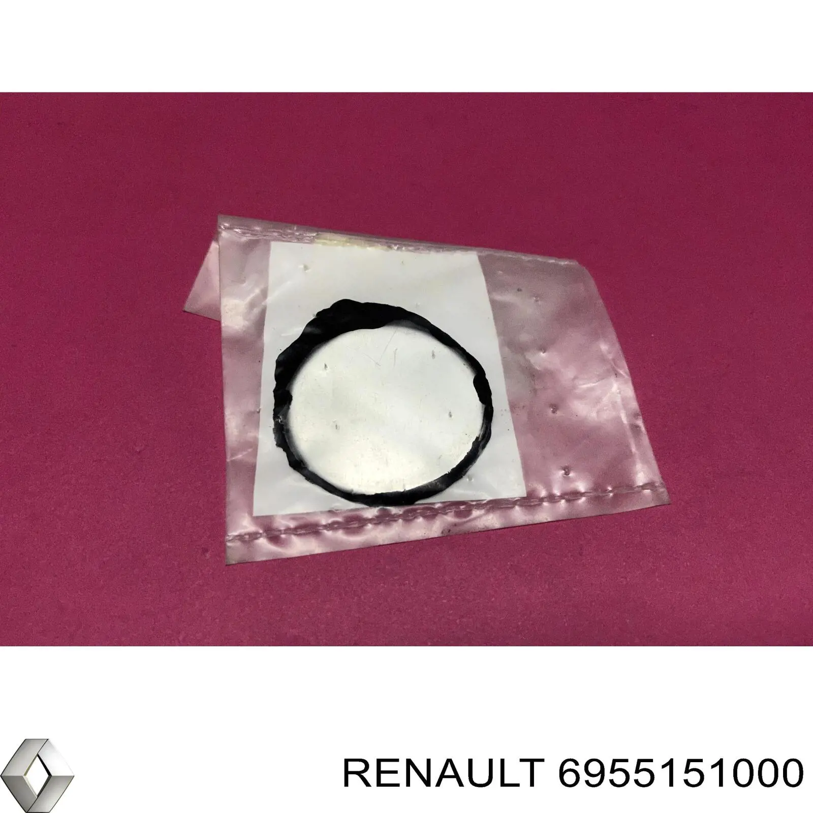  6955151000 Renault (RVI)