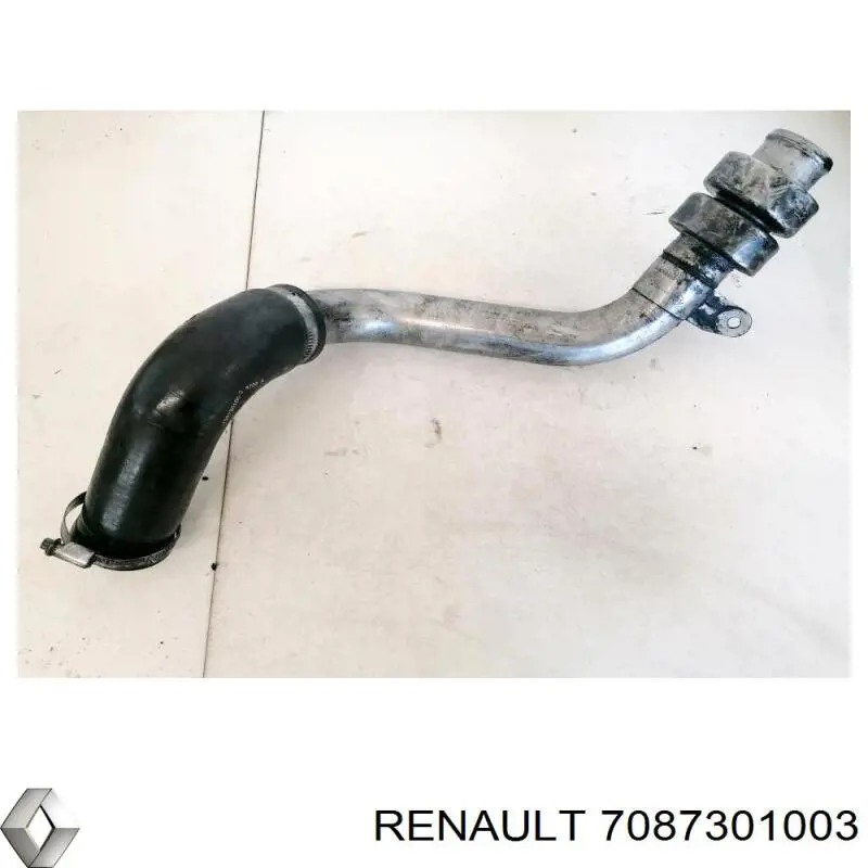 Купити 7087301003 Renault (RVI) 