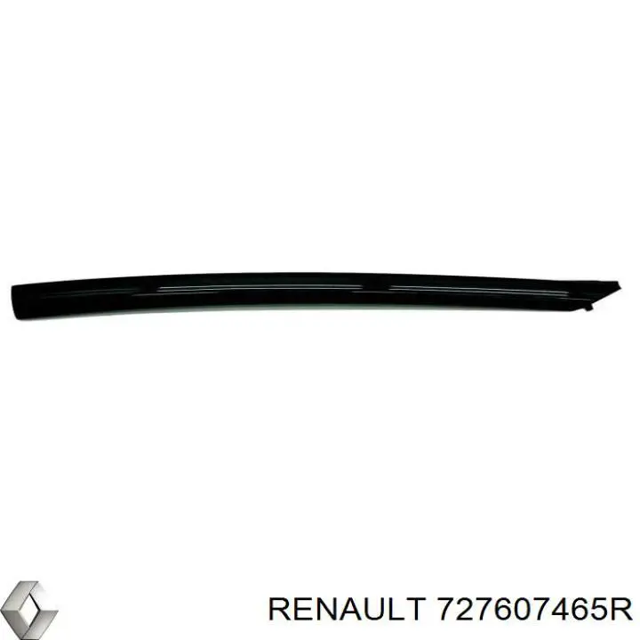 Купити 727607465R Renault (RVI) 