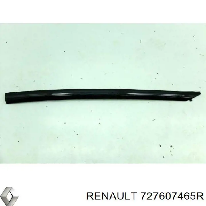  727607465R Renault (RVI)