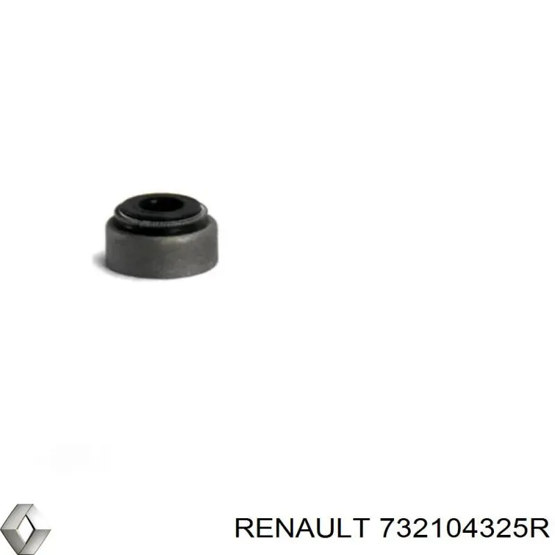  732104325R Renault (RVI)