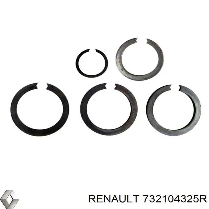 Купити 732104325R Renault (RVI) 