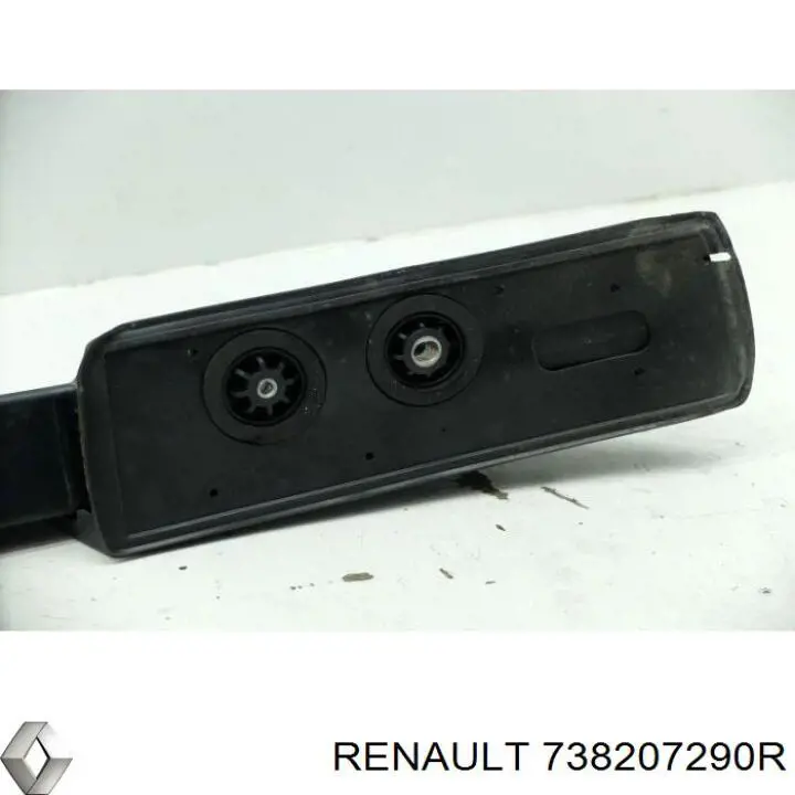  738207290R Renault (RVI)