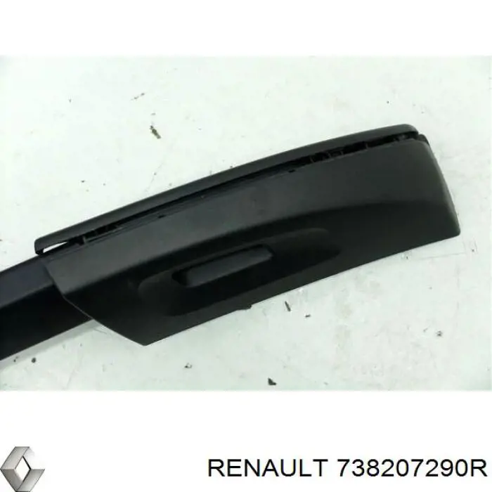 738207290R Renault (RVI) 