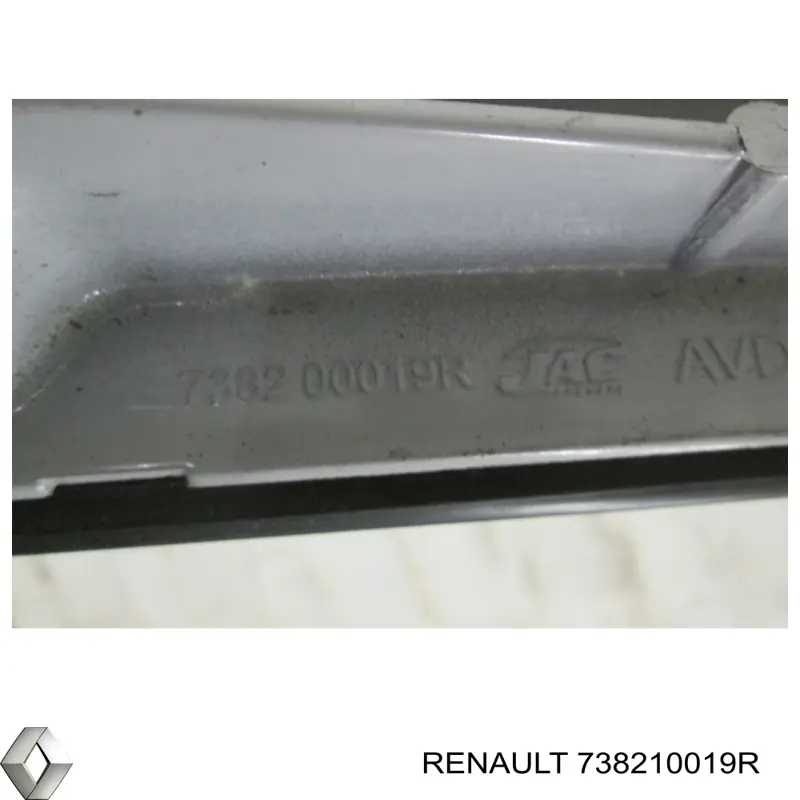 Купити 738210019R Renault (RVI) Рейлінг даху лівий