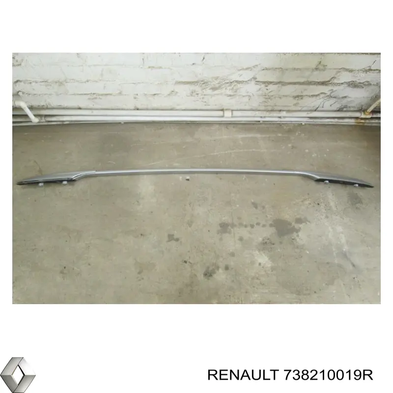 Рейлінг даху лівий Renault (RVI) 738210019R ціна, від 107.95 USD