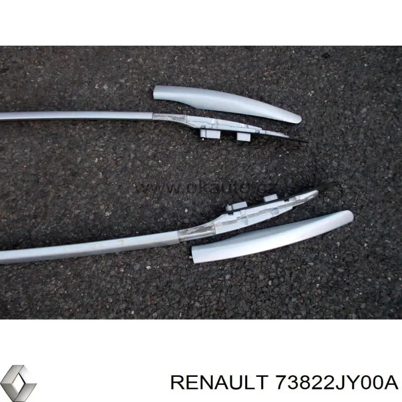  Renault (RVI) 73822JY00A ціна, від 48.48 USD