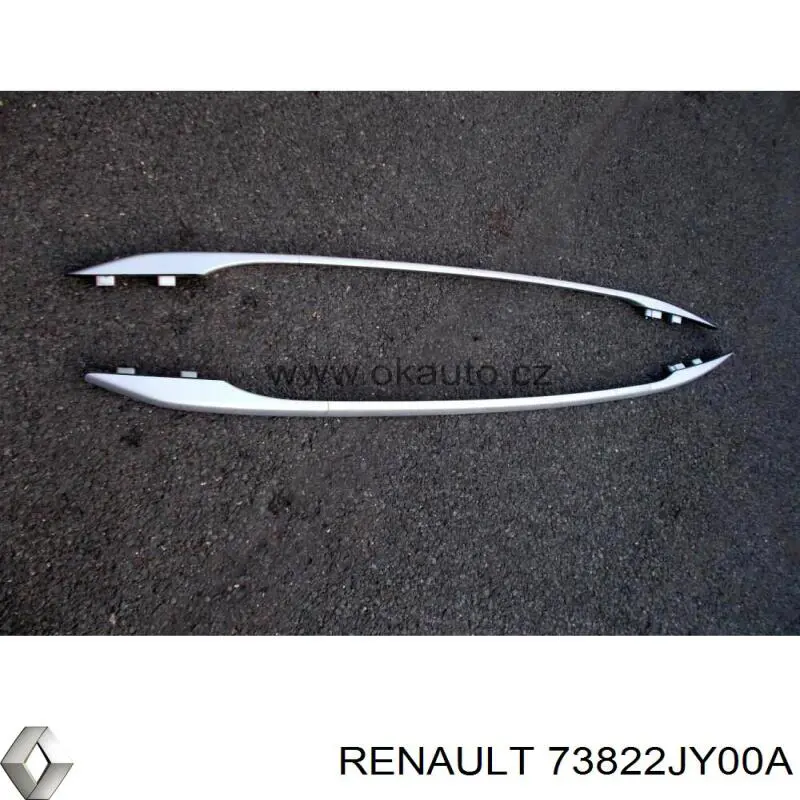 Купити 73822JY00A Renault (RVI) 