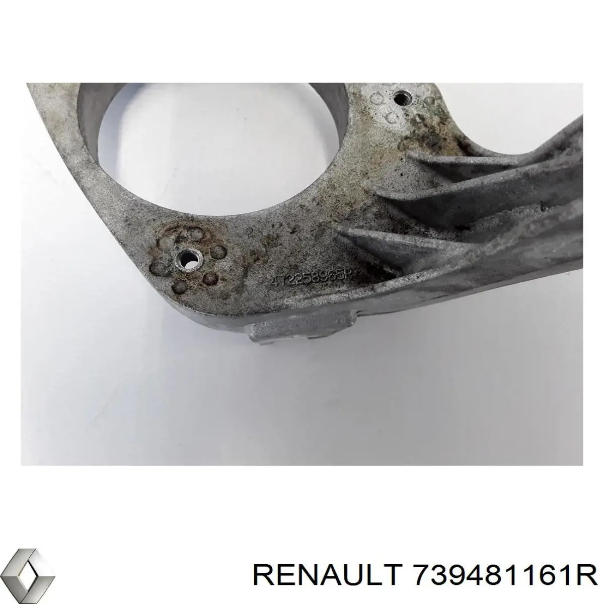 Купити 739481161R Renault (RVI) 