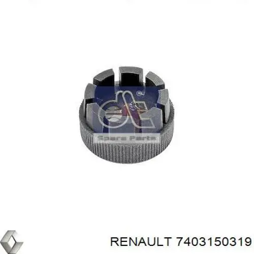 Підшипник осі виделки зчеплення 7403150319 Renault (RVI)