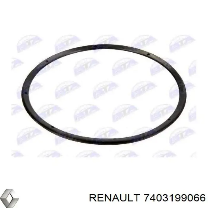 Кільце стопорне підшипника задньої маточини 7403199066 Renault (RVI)