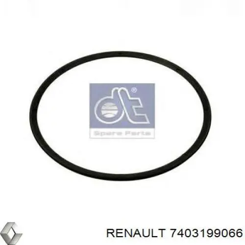 Кільце стопорне підшипника задньої маточини 7403199066 Renault (RVI)