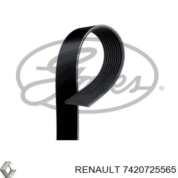 Ремінь генератора 7420725565 Renault (RVI)