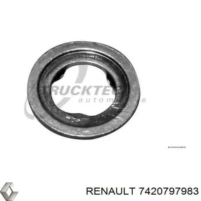 Кільце форсунки інжектора, посадочне 7420797983 Renault (RVI)