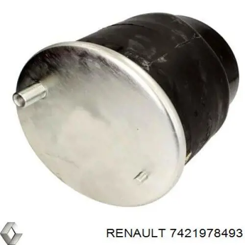 7421978493 Renault (RVI) Ресора пневматичної підвіски