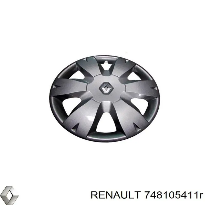 748105411R Renault (RVI) 