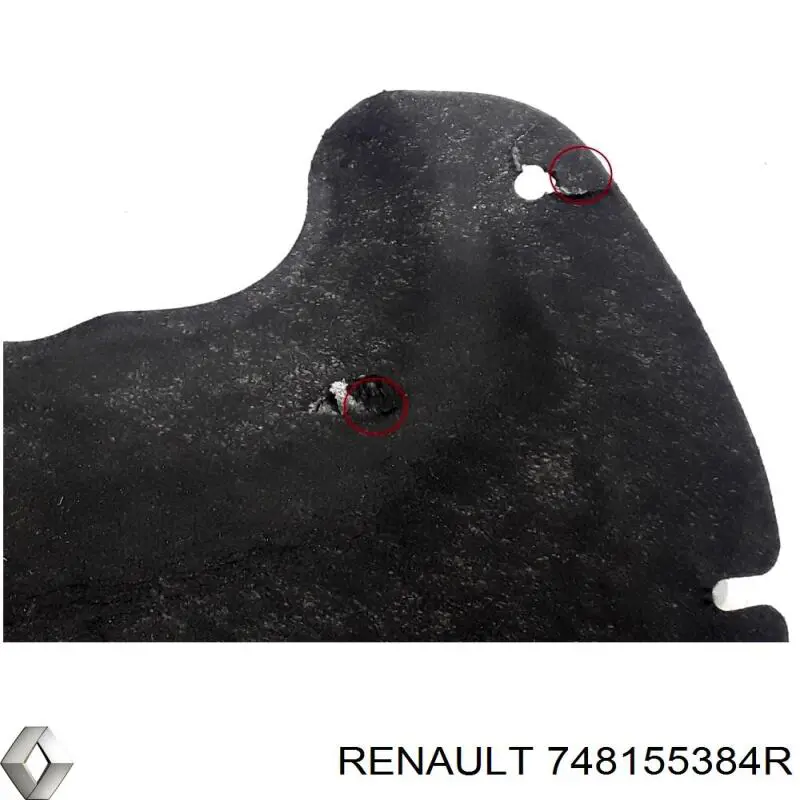 Захист днища, лівий 748155384R Renault (RVI)