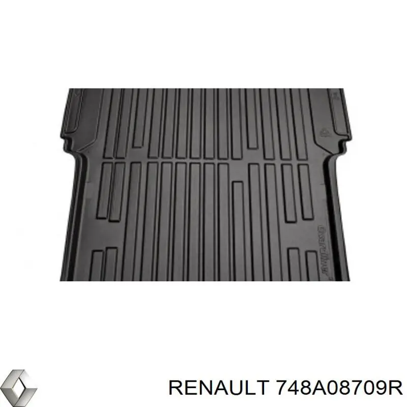 Купити 748A08709R Renault (RVI) 