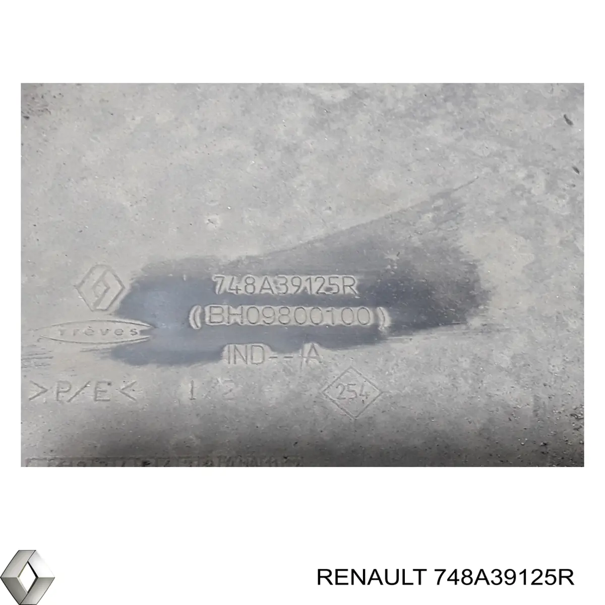 Захист днища, задній лівий Renault (RVI) 748A39125R ціна, від 52.14 USD