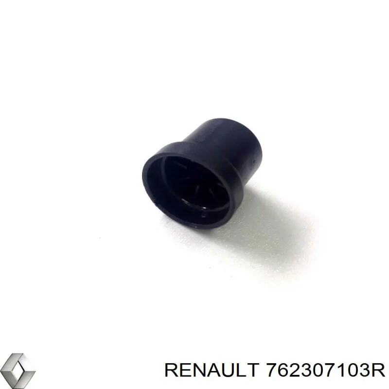  Renault (RVI) 762307103R ціна, від 331.08 USD