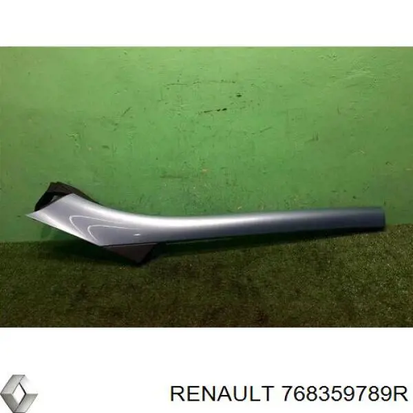 768359789R Renault (RVI) 