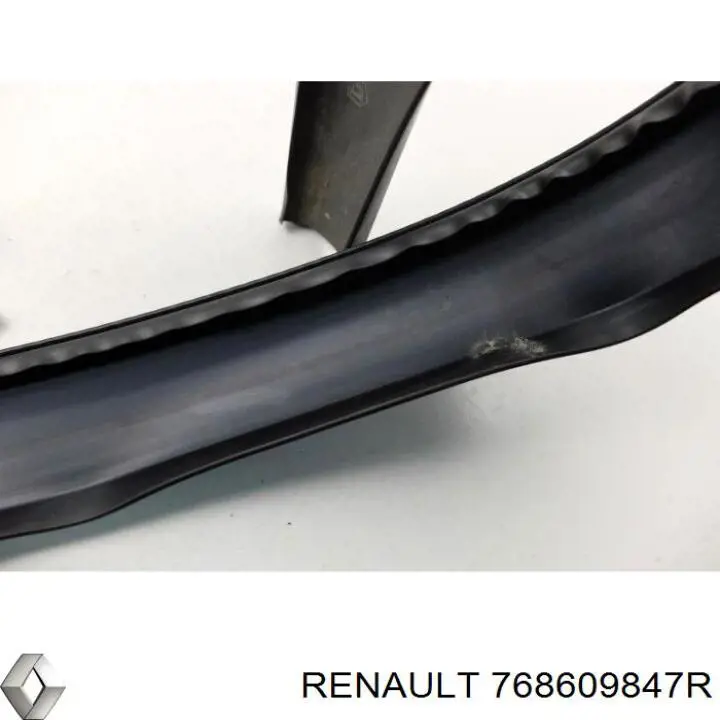 768600008R Renault (RVI) ущільнювач двері передньої правої (на кузові)