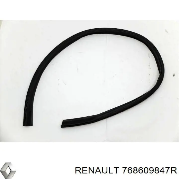Прокладка дверей передніх, правих (на кузові) Renault (RVI) 768609847R ціна, від 15.25 USD