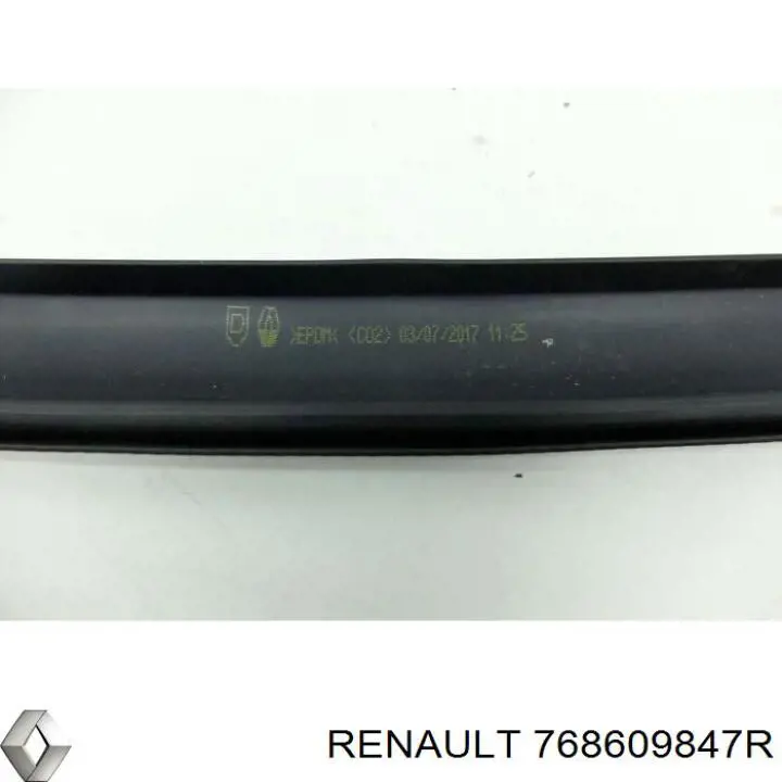 Купити 768609847R Renault (RVI) Ущільнювач двері передньої правої (на кузові)