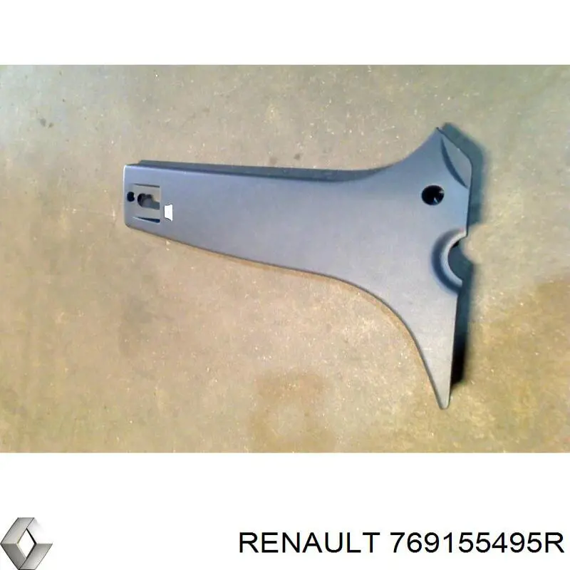 769155495R Renault (RVI) 