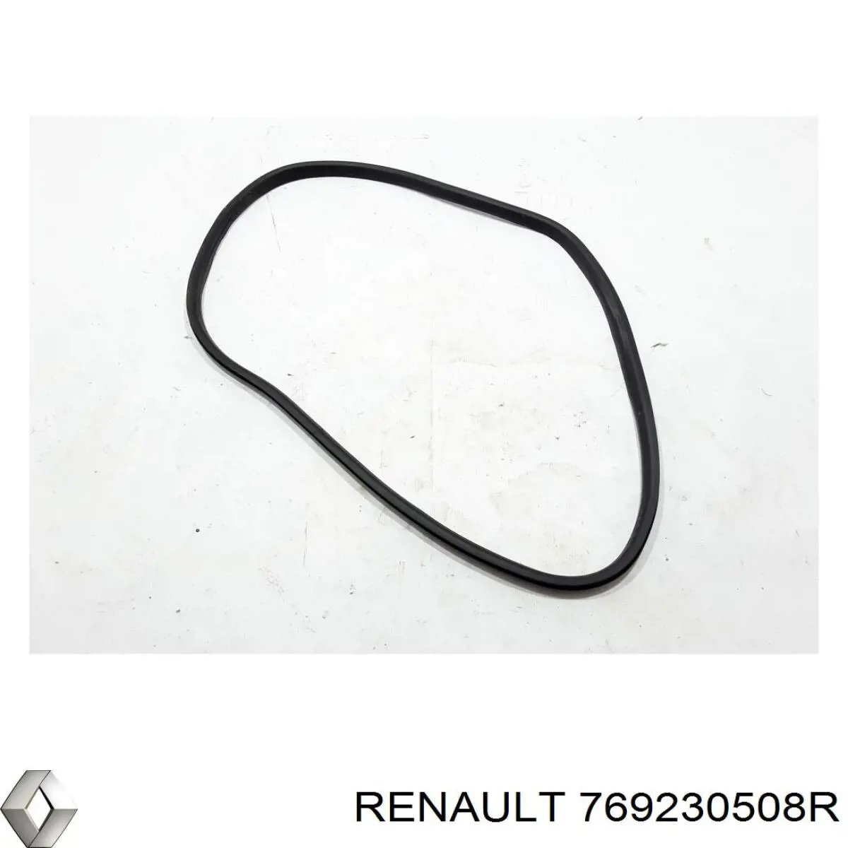  Renault (RVI) 769230508R ціна, від 16.77 USD