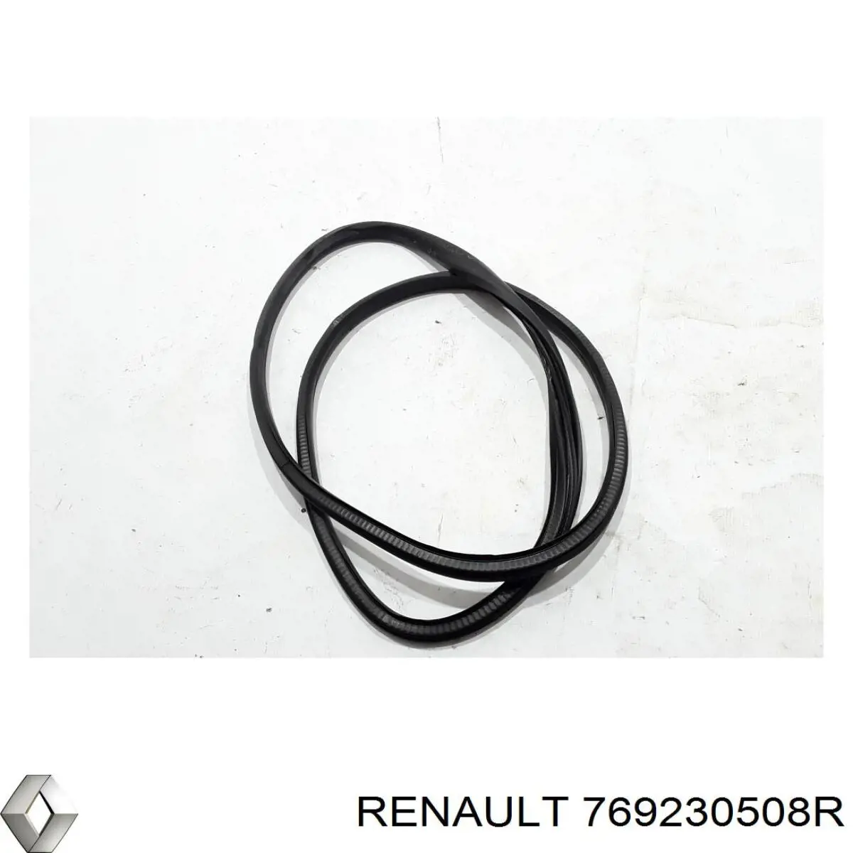 769230508R Renault (RVI) 