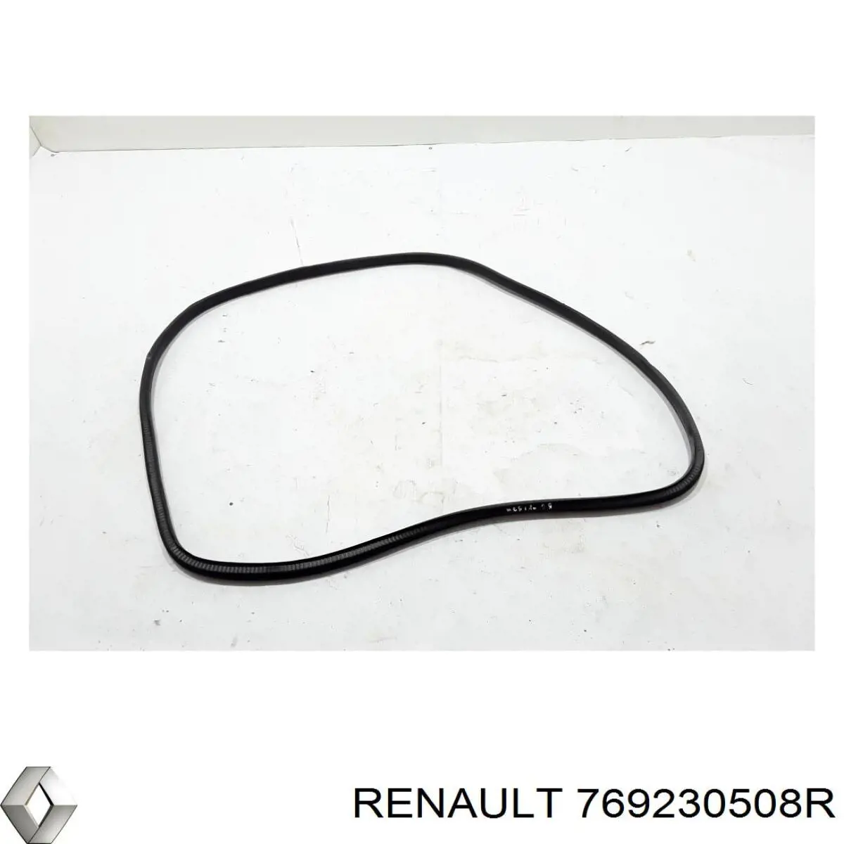Купити 769230508R Renault (RVI) 