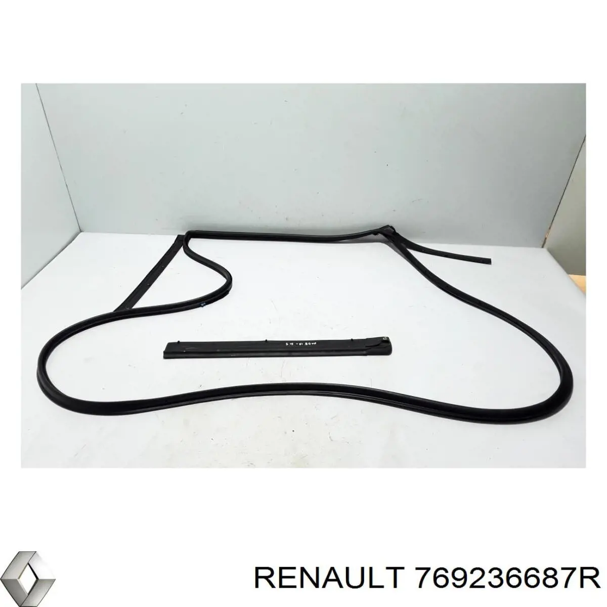 769236687R Renault (RVI) 