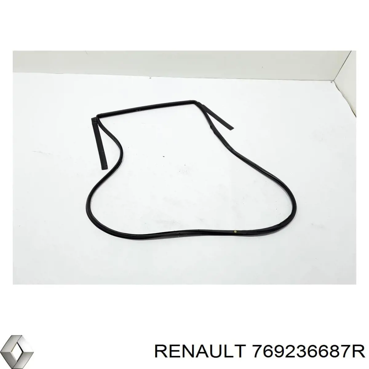 Купити 769236687R Renault (RVI) 