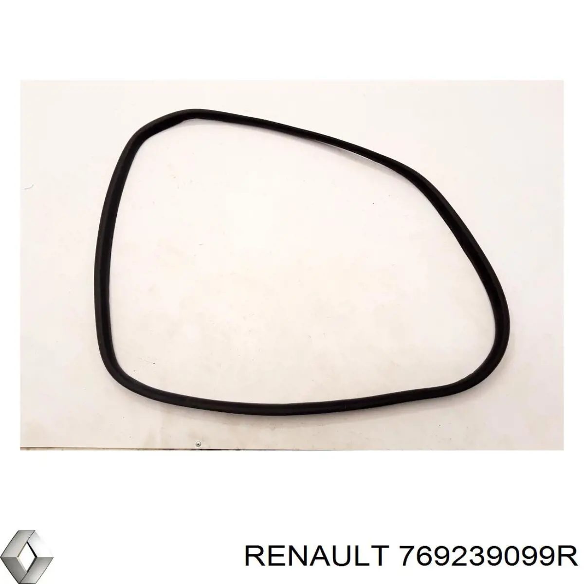 769239099R Renault (RVI) 