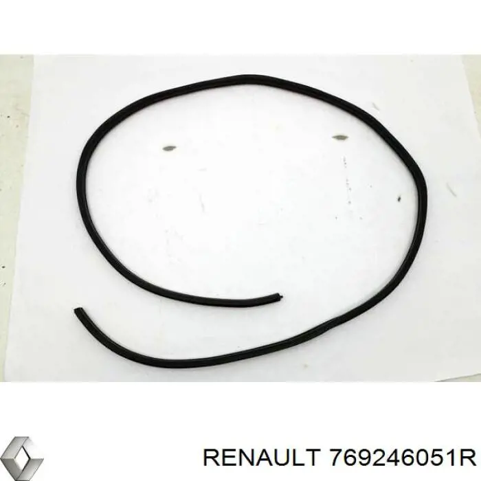 769246051R Renault (RVI) Ущільнювач дверей передніх, лівих (на двері)