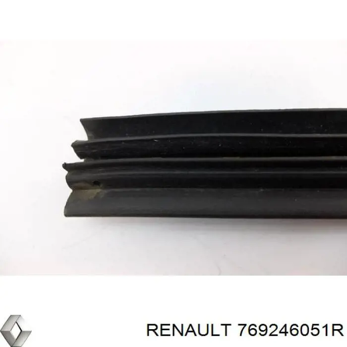 Купити 769246051R Renault (RVI) Ущільнювач двері передньої лівої (на двері)