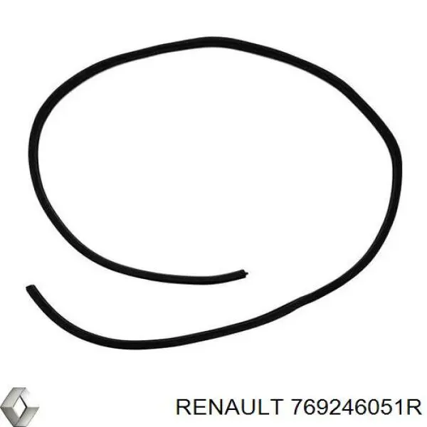Ущільнювач двері передньої лівої (на двері) Renault (RVI) 769246051R ціна, від 27.49 USD