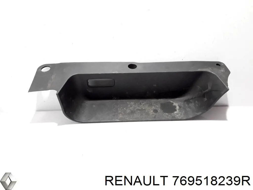 769518239R Renault (RVI) 