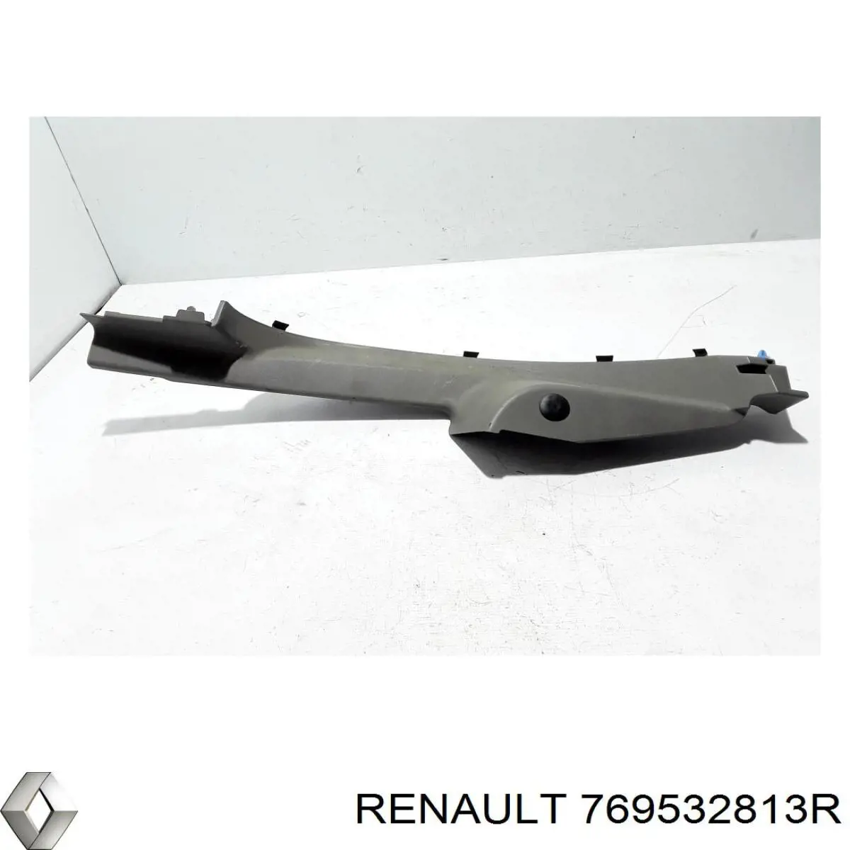 769532813R Renault (RVI) 