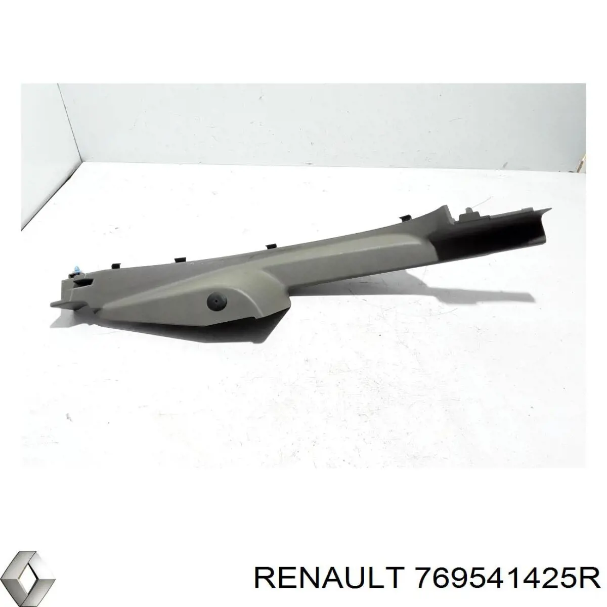 769541425R Renault (RVI) 