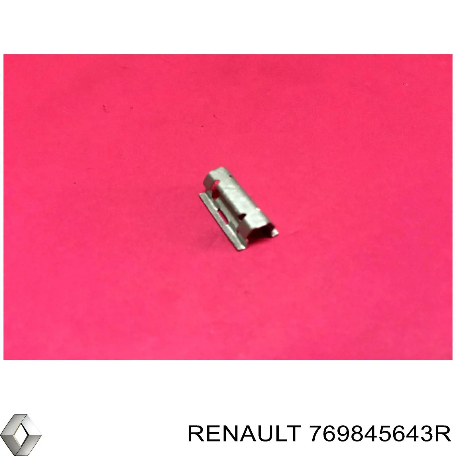 769845643R Renault (RVI) 