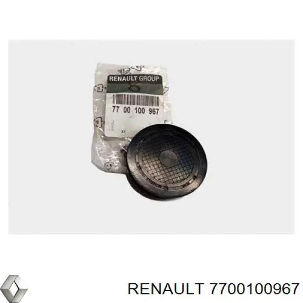 Заглушка блоку циліндрів 7700100967 Renault (RVI)