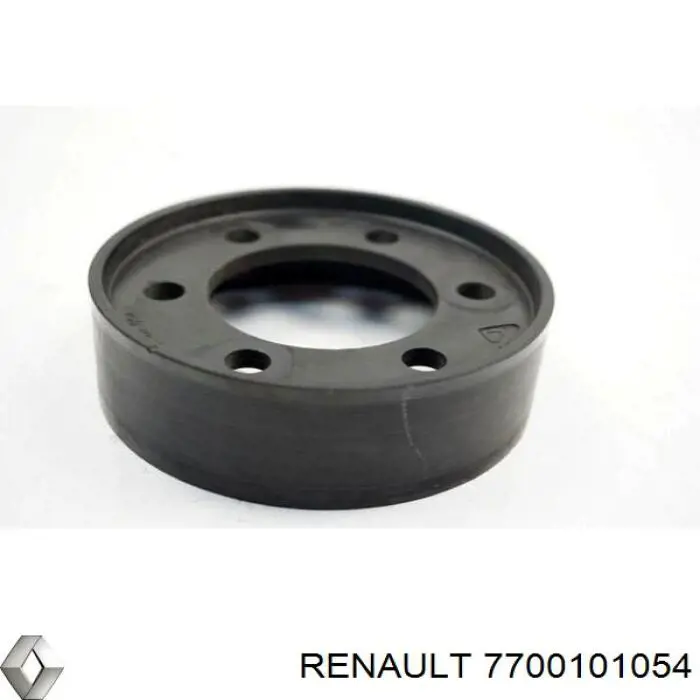 7700101054 Renault (RVI) 