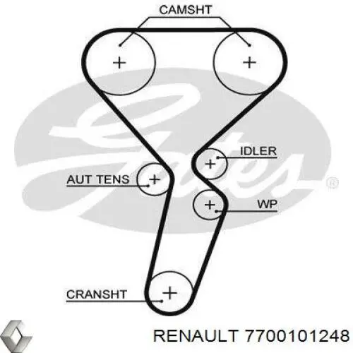 Ремінь ГРМ 7700101248 Renault (RVI)