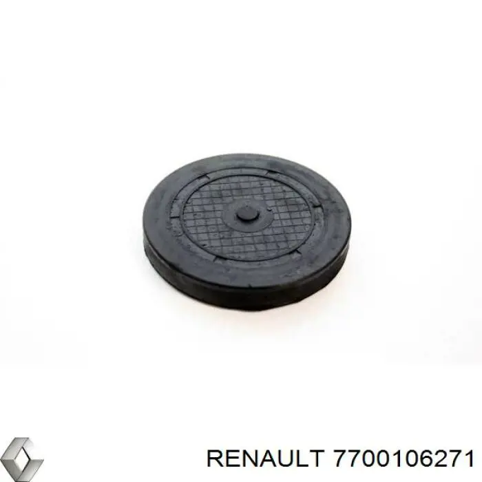 Заглушка блоку циліндрів 7700106271 Renault (RVI)