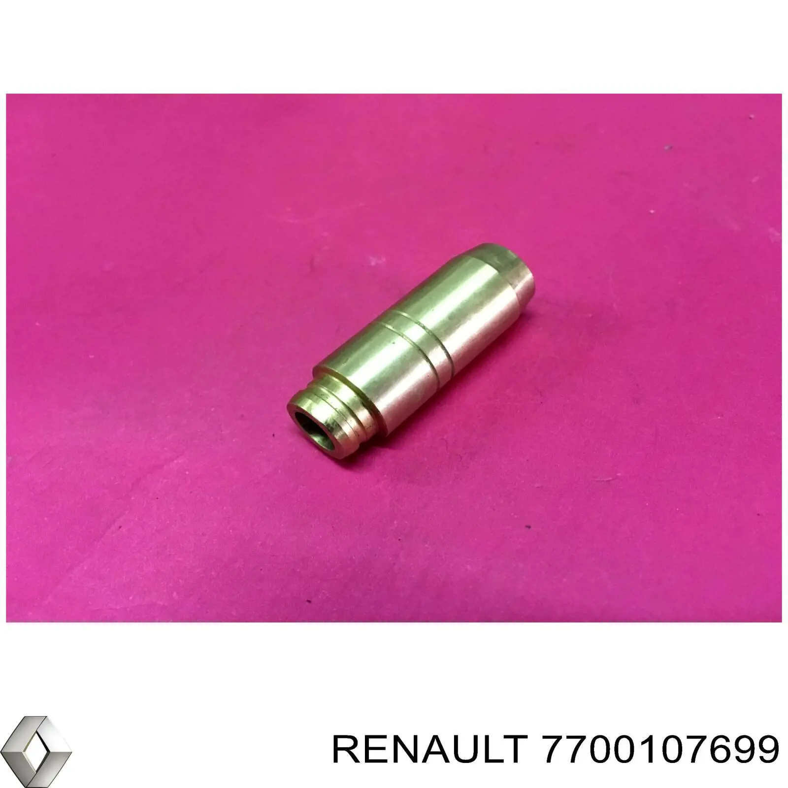 Купити 7700107699 Renault (RVI) Направляюча клапана