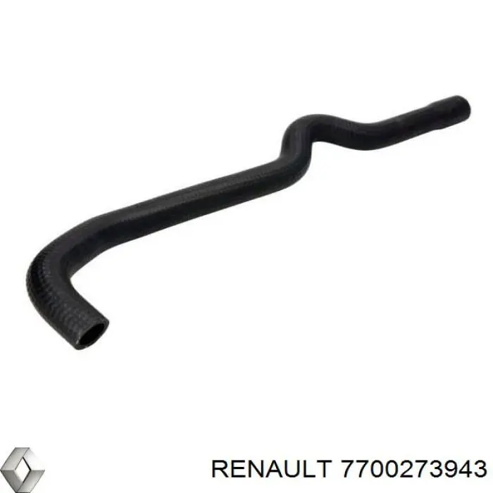  7700273943 Renault (RVI)